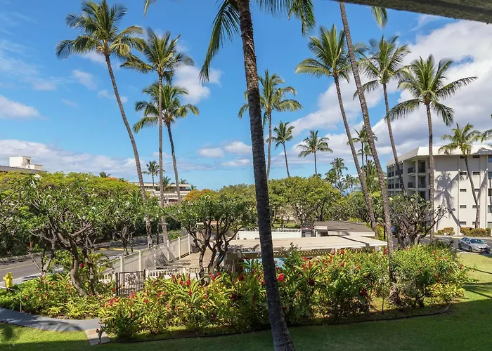 Kihei Akahi D113