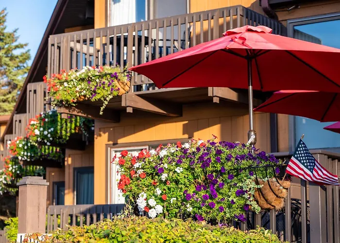 Pine Grove Resort
