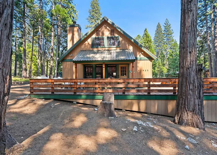 Toste Cabin- Spacious 3Br Cabin In East Village!