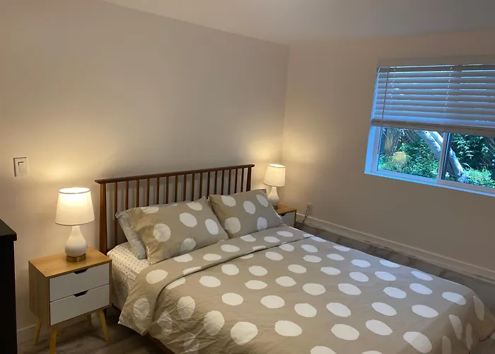Charming 3Br 1Ba Apt In Mission
