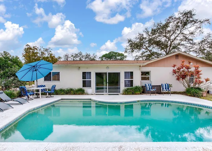 Villa Lux With Pool In Palm Harbor