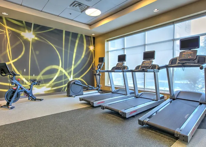 Hilton Garden Inn Dallas Arlington
