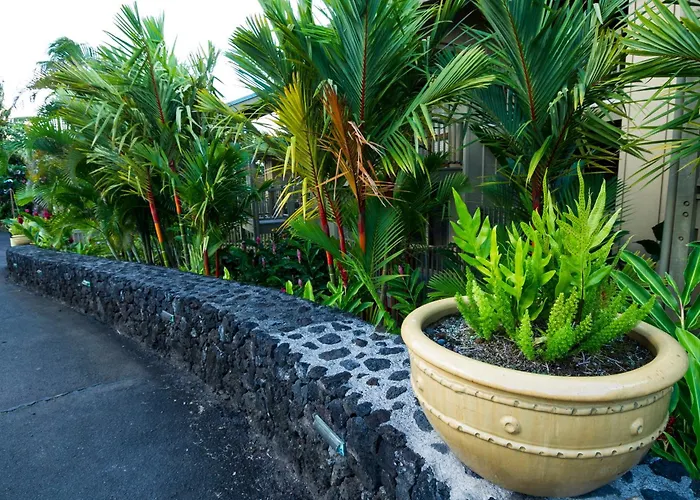 Hana Kai Maui - #201 Honokalani - Oceanview 1 Br