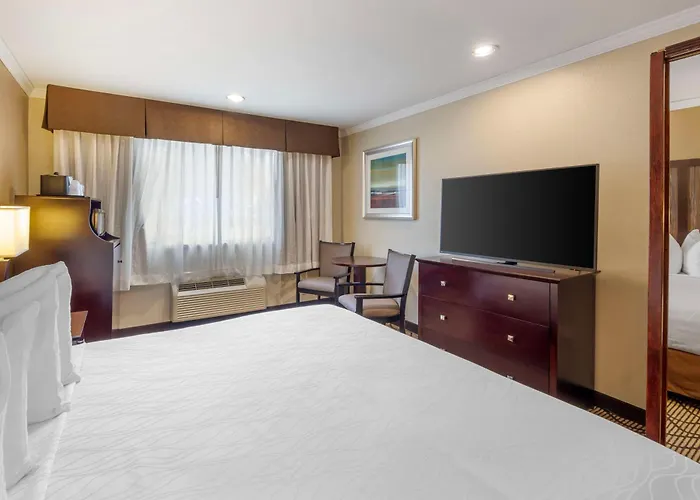 Best Western Plus Orchid Hotel & Suites