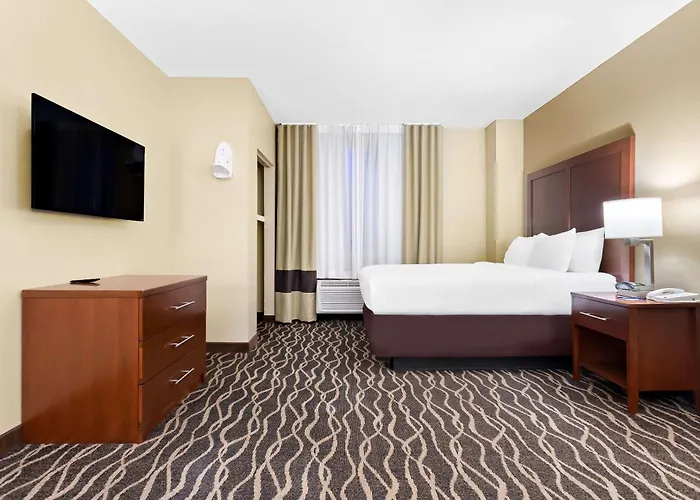 Comfort Suites Tampa Airport North