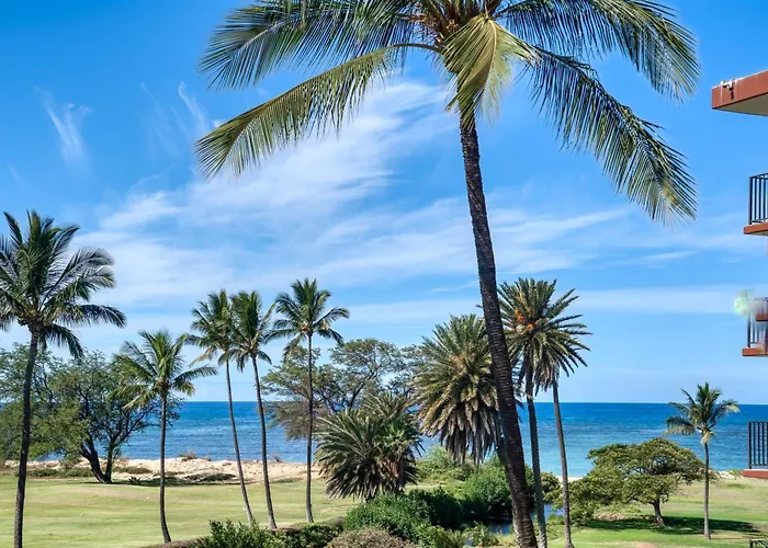 Hip Hawaiian Oceanfront Vistas