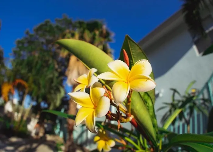 2Bd 1Ba Sunset 2 3Mins To Beach!