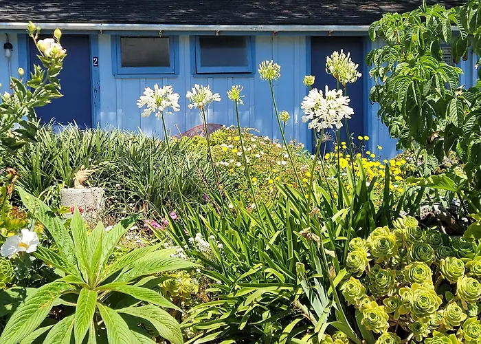 Mendocino Art Center