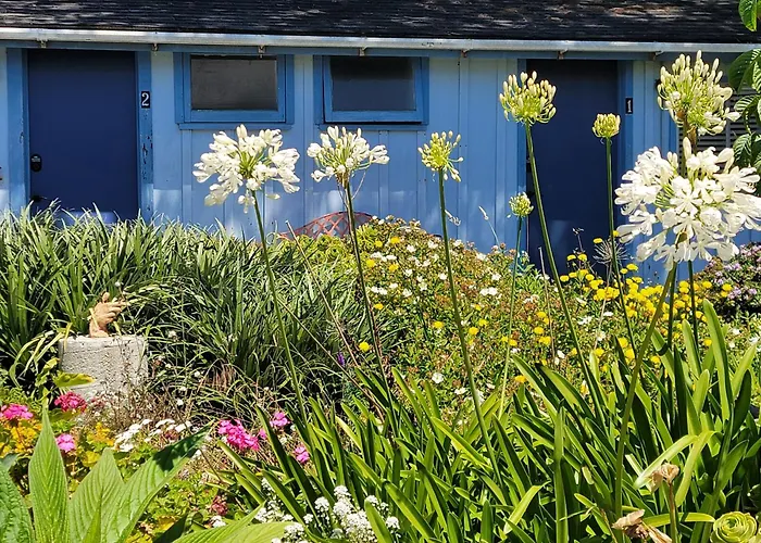 Mendocino Art Center