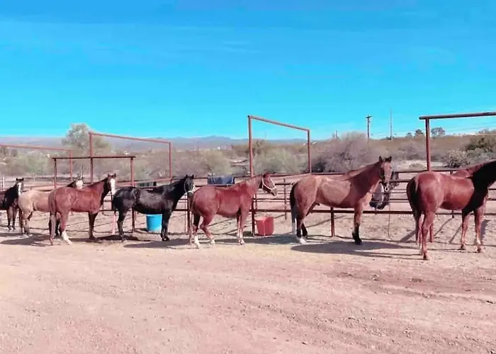 The Wickenburg Guest House