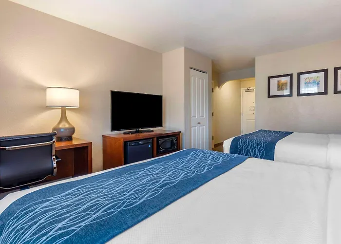 Comfort Inn & Suites Ukiah Mendocino County