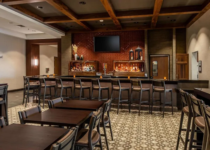 Drury Plaza Hotel Dallas Arlington
