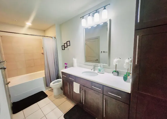 Belle Maison Near Medical Center Nrg Stadium