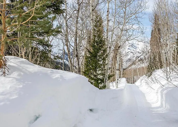Mountain View Chalet