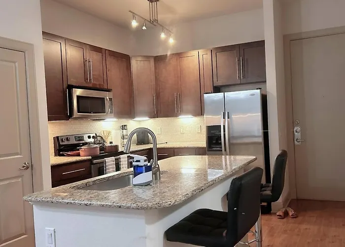Belle Maison Near Medical Center Nrg Stadium