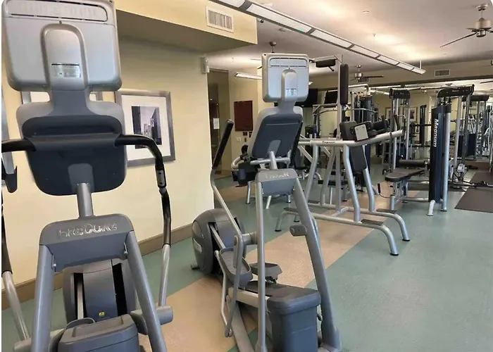 Belle Maison Near Medical Center Nrg Stadium