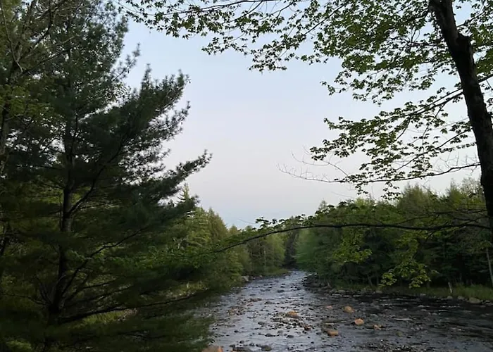 Secluded River Overlook Cabin On 160 Acres.