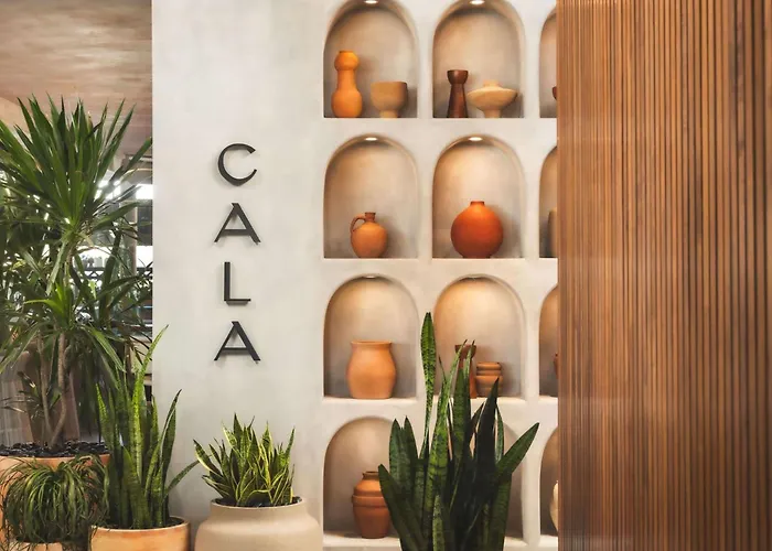 Senna House Hotel Scottsdale, Curio Collection By Hilton
