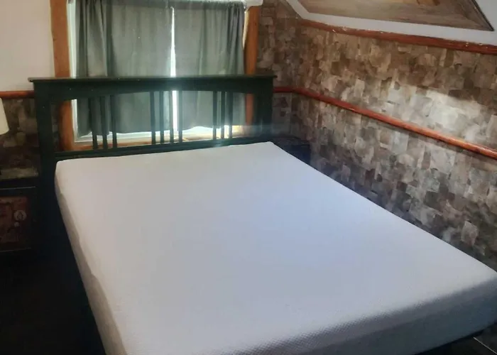 Big Bear Lake - Tulip Lane Cabin #22