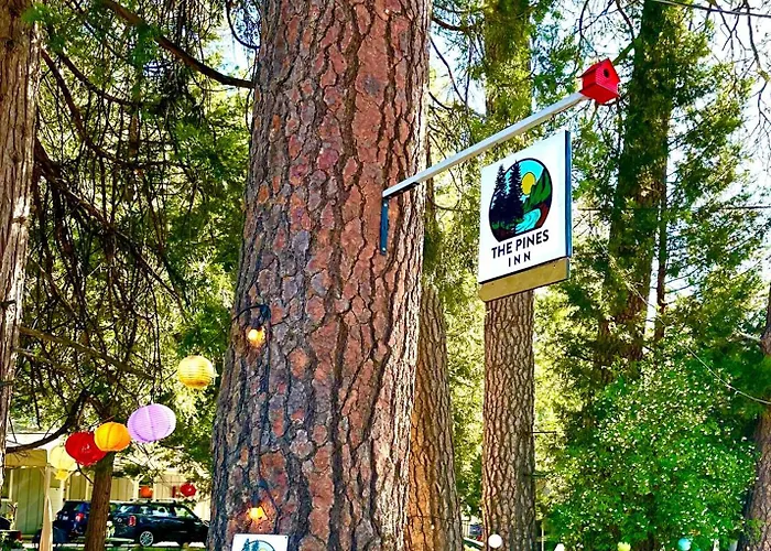 The Pines Inn And Cottages