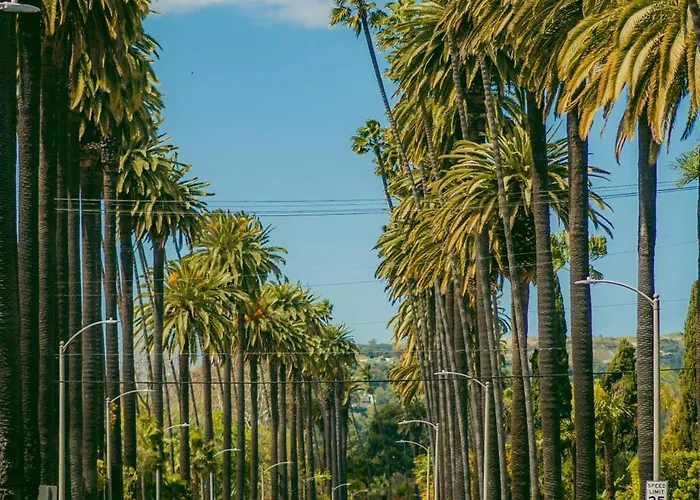Hollywood Chic Studio With Free Parking
