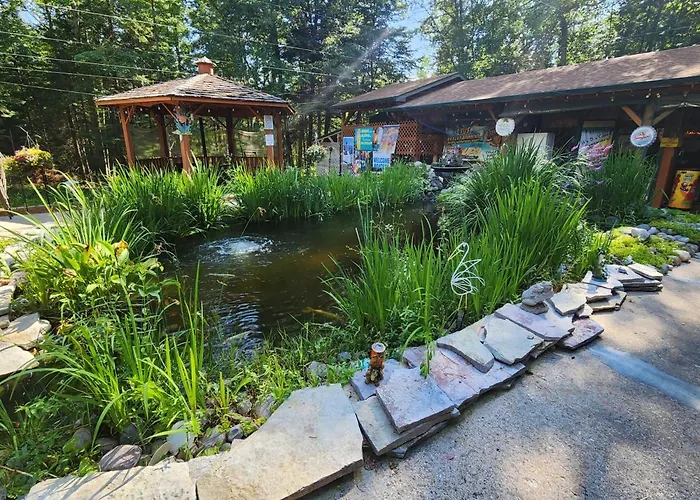 Springbrook Inn- Springbrook