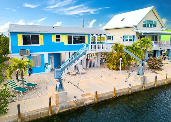 Reel Paradise