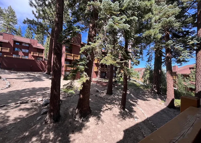 Msrc28 - Cozy Ski Condo - Walk To Canyon - Dog Friendly