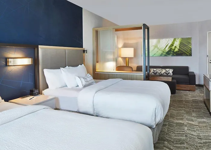 Springhill Suites By Marriott Charlotte At Carowinds