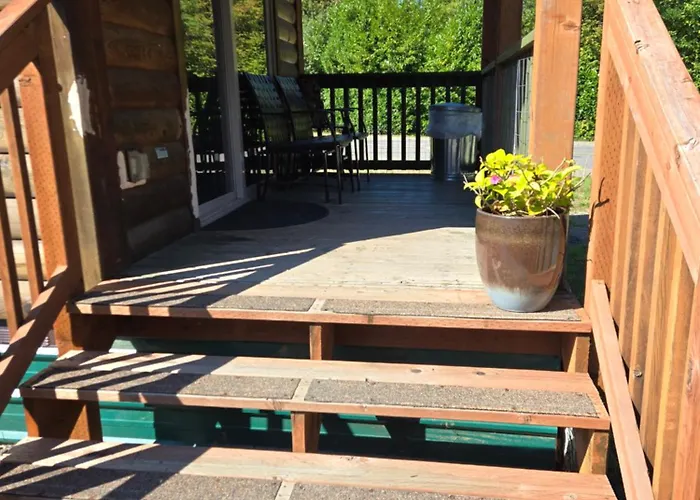 The Bogi Bear Inn
