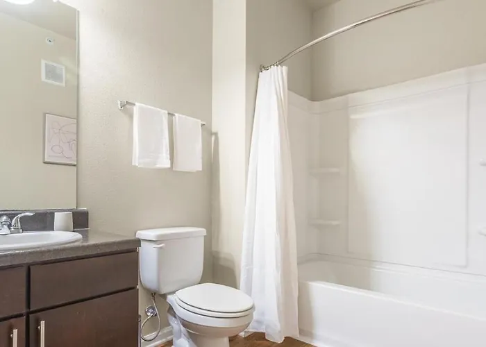 Landing Modern Apartment With Amazing Amenities
