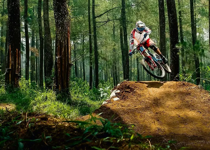 Ml217 Whimsical Retreat Close To Village Ballhooter Ez Park Wi-Fi Sleeps 4