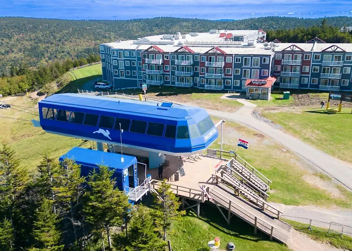 Ml147 Fresh Fun 1Br Sleeps 4 Near Village Slope Access Wi-Fi Ez Park No Steps