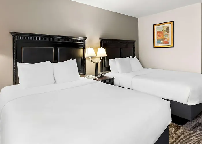 Best Western Saluki Inn