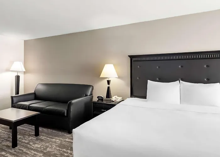 Best Western Saluki Inn