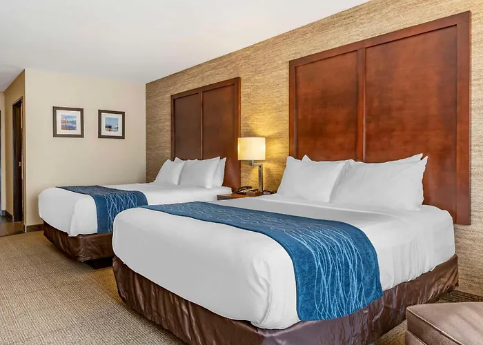 Comfort Inn & Suites Ludington Near Us-10