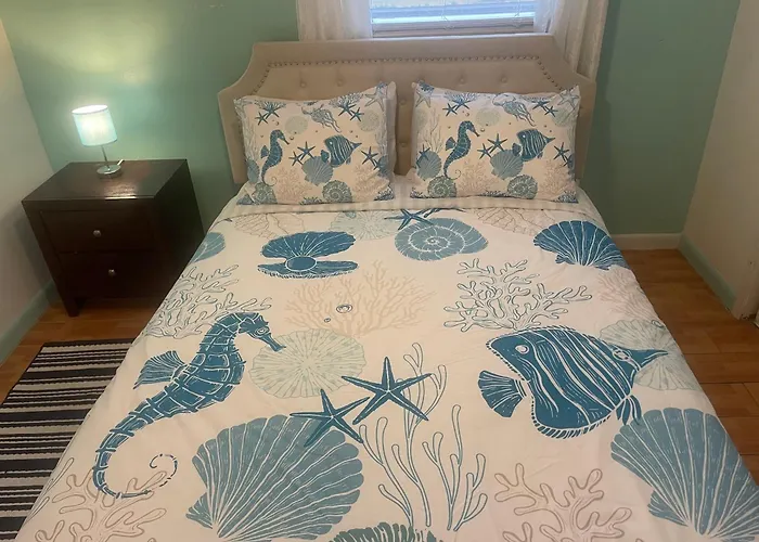 2Br Comfortable Downtown House Near Beach And More