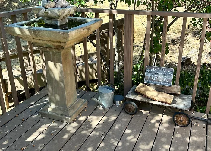 Time Traveler Retreat