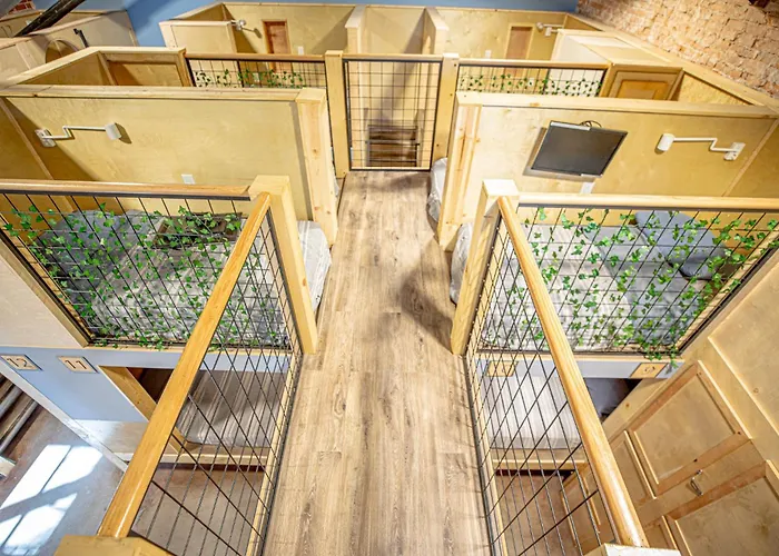 Social Stays - Downtown Santa Barbara Hostel