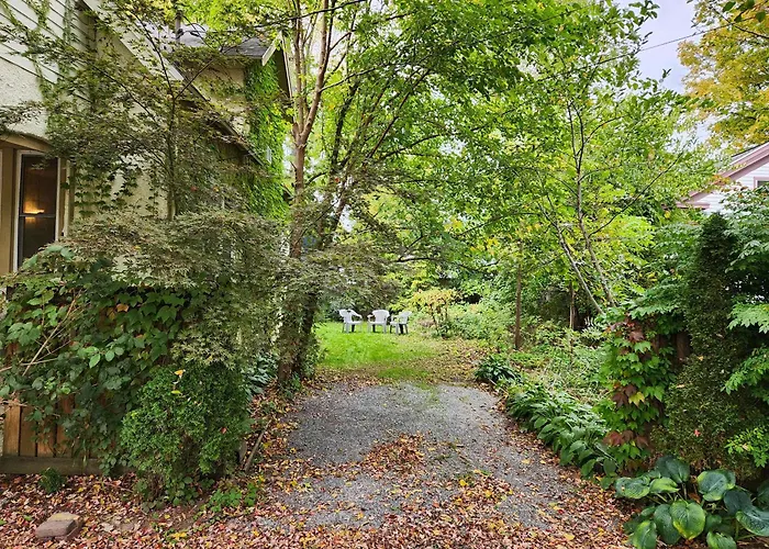 Cozy 3 Bedroom House In Downtown Ithaca