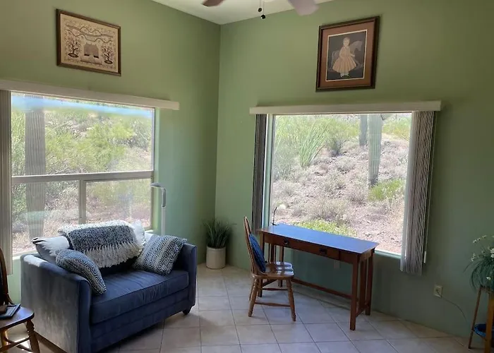 Tucson Mnt Foothills Saguaro Bliss