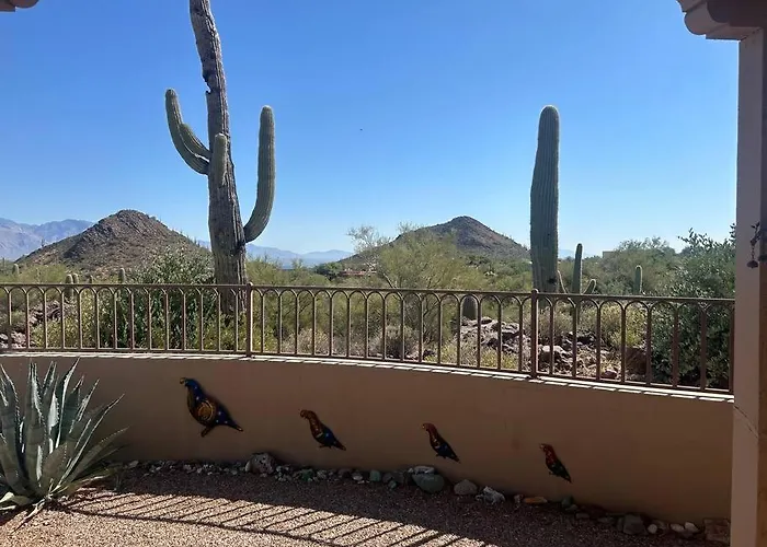 Tucson Mnt Foothills Saguaro Bliss