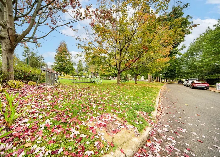 Experience Chautauqua! Newly Renovated Studio