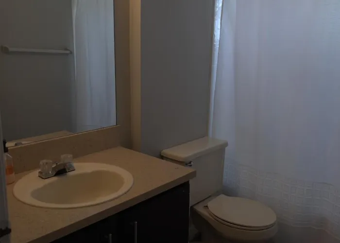 Cozy Room For Rent