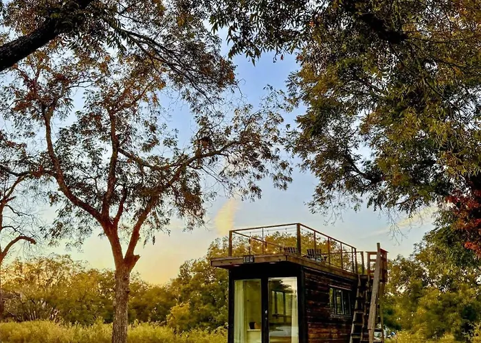 Elegant Container Tiny House Yellow & Blue