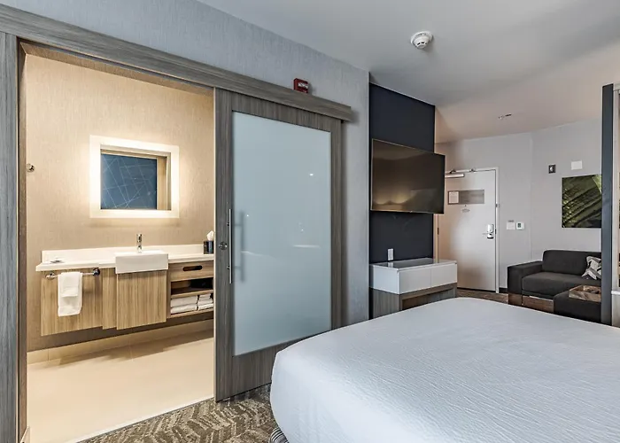 Springhill Suites By Marriott Fort Wayne Southwest