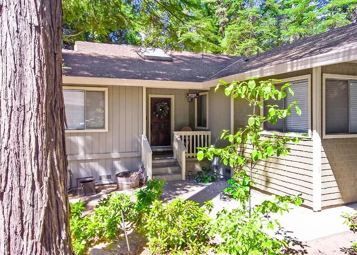 Home In The Pines - Apple Hill - Dog Friendly - Snow Nearby