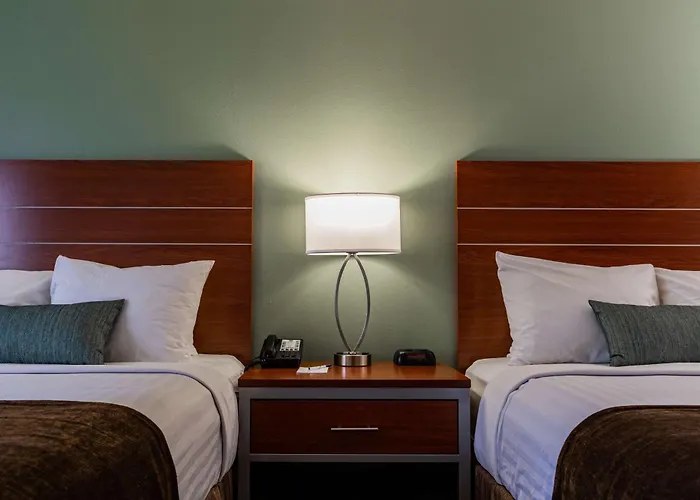 Best Western Buffalo Ridge Inn Near Mt Rushmore