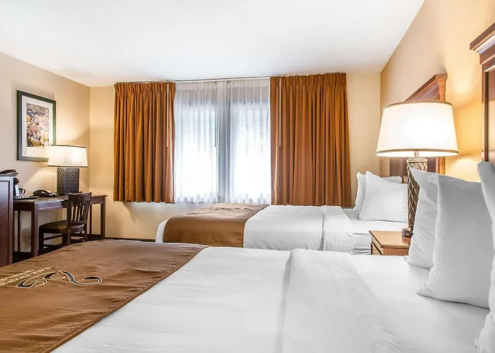 The Black Swan Lee - Lenox, An Ascend Collection Hotel