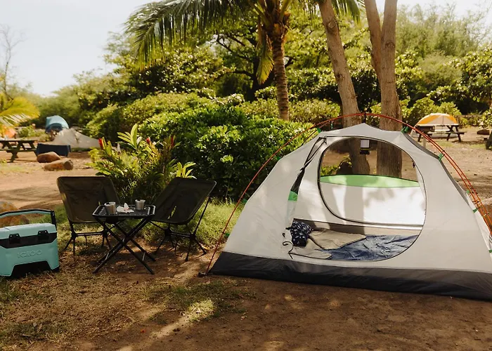 Budget Hack Maui Suv Camping